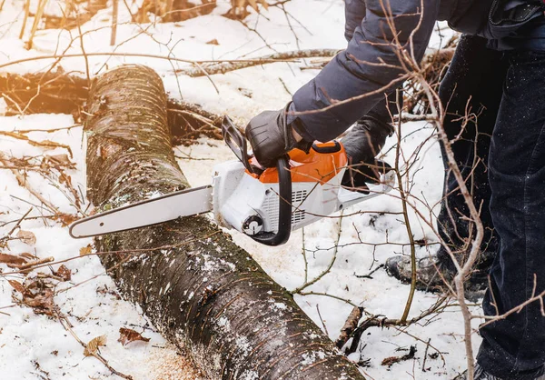 Ręce Człowieka Posiadającego Elektryczna Piła Kawałki Drzewa Lesie Zimą Wylesiania — Zdjęcie stockowe