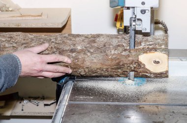 Doğrama atölyesinde çalışan günlük şerit testere kullanarak panoları keser. Sanayi. Ham Ahşap ahşap el sanatları. Fabrikada çalışmak.