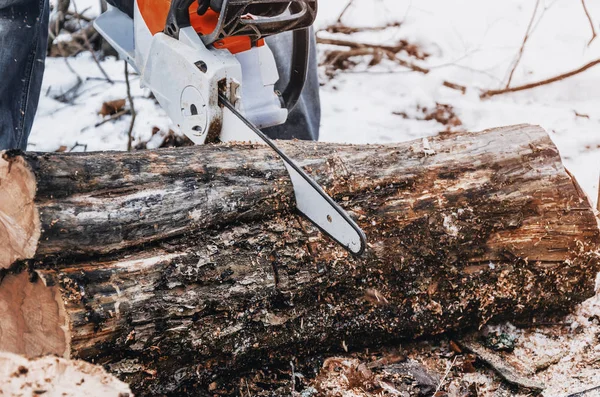 男性の木こりはチェーン鋸を持つフォレストのログをカットします クリア 生態を森します 地球資源 — ストック写真