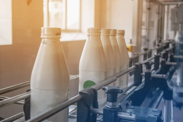 Beyaz plastik şişe süt ürünü üretim hattı ile.
