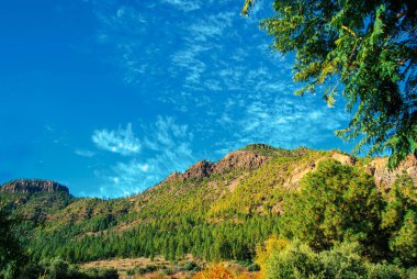 Kanarya Adaları dağlardaki görünümünü. Dağ vadilerinde, yeşillik. Seyahat, turizm, dağcılık