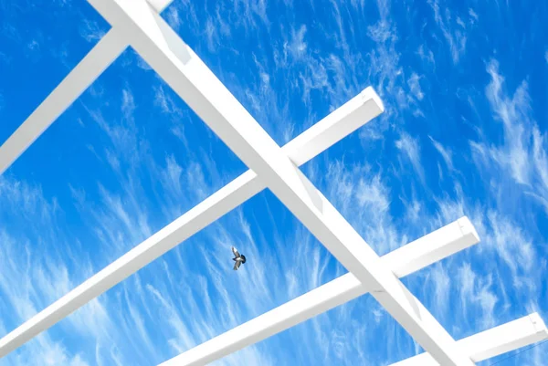 White boards decorative roof on the background blue sky. Dove flies — Stock Photo, Image