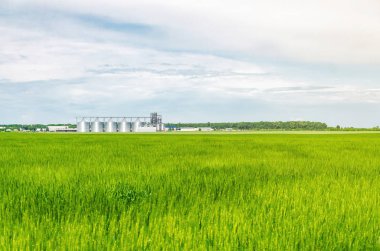 Buğday alanında metal modern asansör