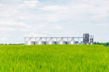 Buğday alanında metal modern asansör