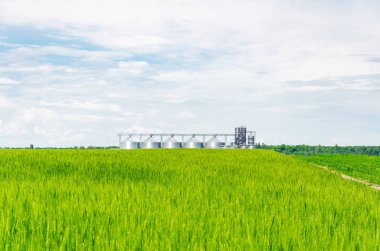 Buğday alanında metal modern asansör