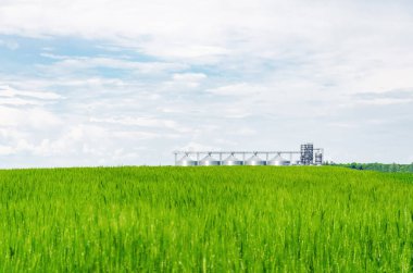 Buğday alanında metal modern asansör