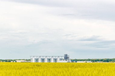 Buğday alanında metal modern asansör