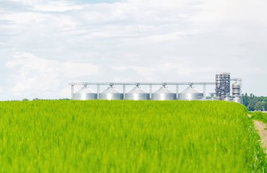 Buğday alanında metal modern asansör