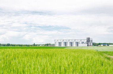 Buğday alanında metal modern asansör