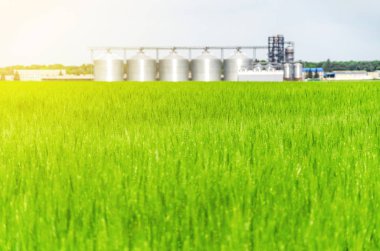 Buğday alanında metal modern asansör