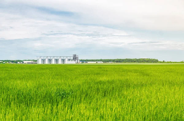 Buğday alanında metal modern asansör