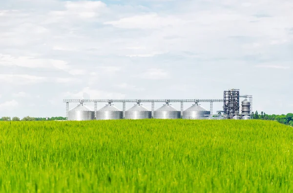 Buğday alanında metal modern asansör