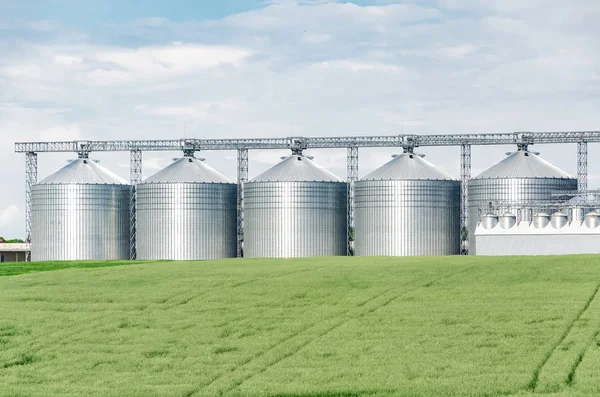 Stor jordbruks-elevator nära sätta in sått med vete. Moder — Stockfoto