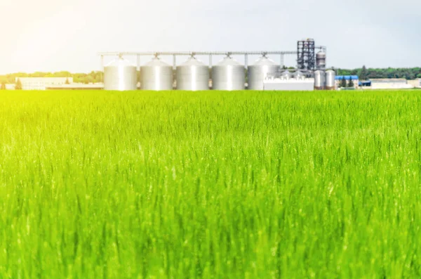 Buğday alanında metal modern asansör