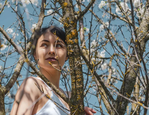 Belle Fille Brune Assise Sur Cerisier Fleurs Printemps Beauté Concept — Photo