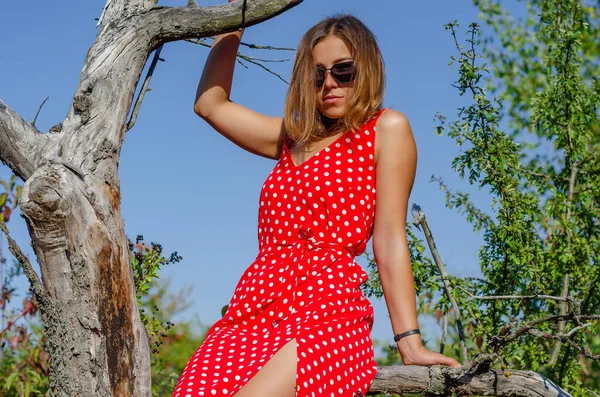 Młoda Kobieta Czerwonej Sukience Siedzi Suchym Drzewie Ogrodzie — Zdjęcie stockowe