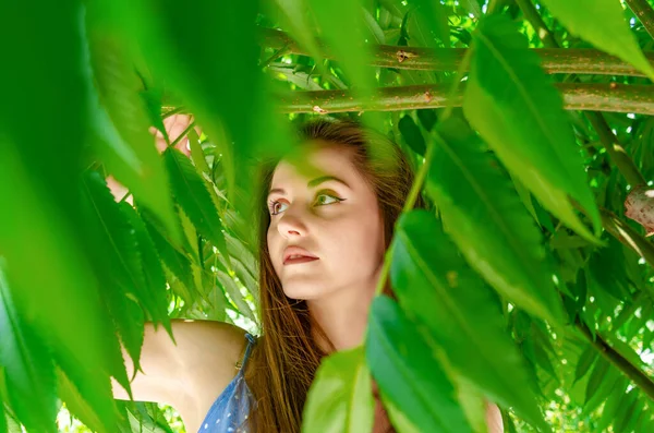 Красива Європейка Довгим Волоссям Стоїть Під Зеленим Листям Дерева Сонці — стокове фото