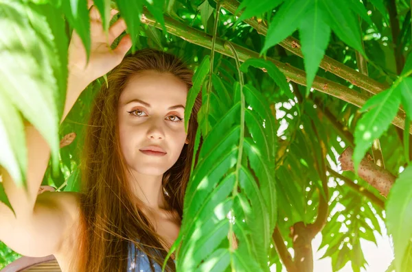 Молода Красива Жінка Довгим Волоссям Стоїть Під Деревом Великим Зеленим — стокове фото