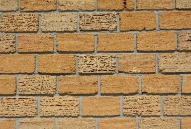 Shelly Limestone duvar dokulu arka plan.