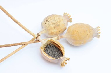 Haşhaş tohumu beyaz arka plan üzerinde izole yığını ile kurutulmuş haşhaş başkanları