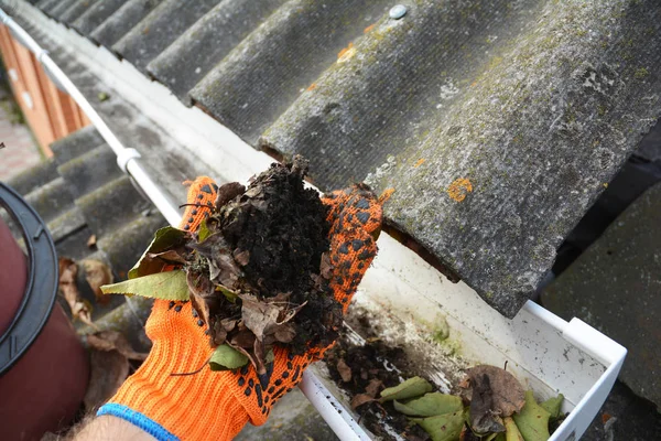 Gutter cleaning with hand from fallen leaves.