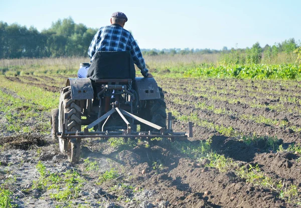 Farmer Tractor in Field. Farmer on old handmade tractor plowing in field.