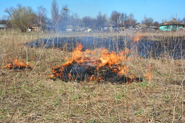 Global Warming Fueling Increased Wildfire Risks Brûlage Herbe Près Des — Photo
