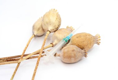 Eroin bağımlılığı. Şırınga şırınga ile mavi iğne ve beyaz arka plan üzerinde izole kuru haşhaş.