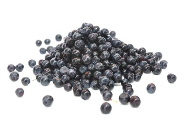 Bilberry tohumlar, Vaccinium myrtillus, şifalı bitki tohumları, Whortleberry, uzun ömürlü, izole Blaeberry beyaz. Göz sağlığı, Fraughan, Çay yapımında kullanılan.  