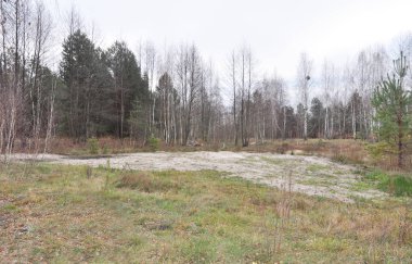 Ev alan yeni ev yapımı kesme ağaçlar ve kum yığını ile orman hazırlığında inşa. 