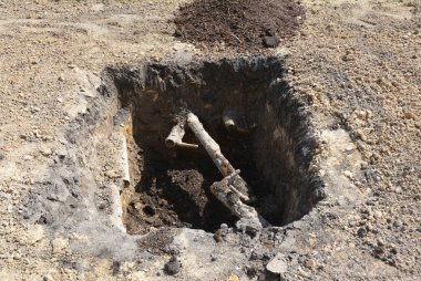 Kazma delik dikim ağaç ve ağaç deliğe eski pas borular için