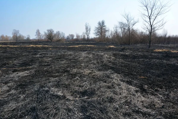 Brandende dode gras in de lente. De redenen voor de verbranding van de lente gras zijn grotendeels ongegrond en in plaats van gunstig te zijn, gras verbranding is destructief en gevaarlijk. — Stockfoto