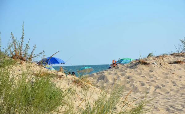 Sommer, Urlaub, Urlaub und glückliche Menschen Konzept in der Nähe von Strand Sanddünen. Urlaub. Reisen. schöne junge Frauen entspannen sich am Strand — Stockfoto