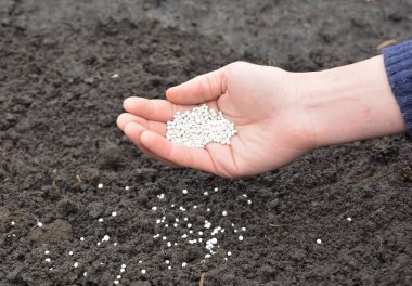 Bahçede daha iyi büyüyen bitkiler için gübre ile Çiftçi el