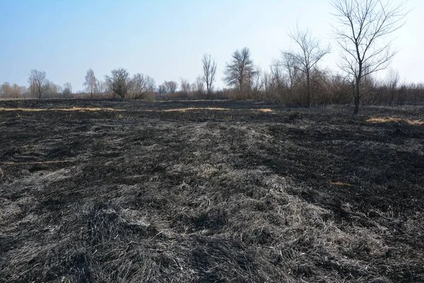 Burning dead grass in spring. The reasons for spring grass burning are largely unfounded and rather than being beneficial, grass burning is destructive and dangerous.
