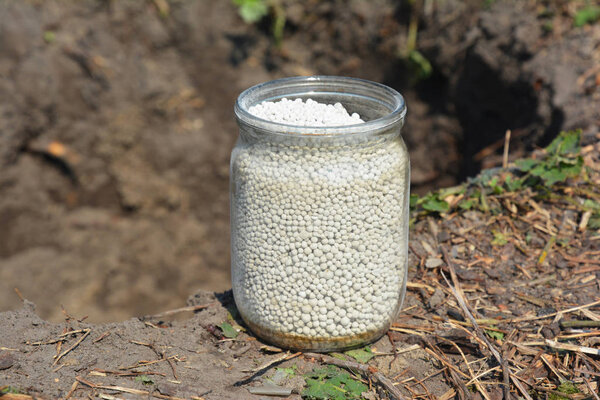 Монокальций фосфат является неорганическим соединением с химической формулой Ca (H2PO4) 2 удобрения для посадки фруктовых деревьев в стекле
. 