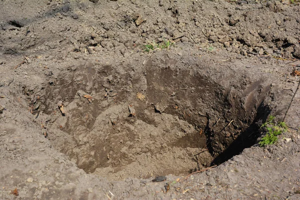 Graven gat in de tuin voor het planten van bomen. — Stockfoto