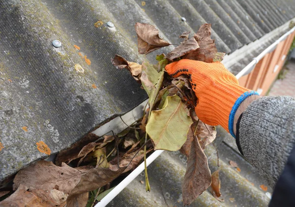 Очищающая канава для дождя от листьев осенью. Очистка крыши от опавших листьев. Уборка сточных канав . — стоковое фото