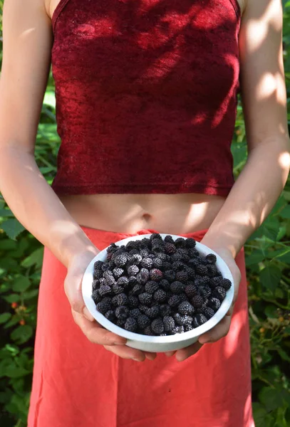 Девушка, держащая Сладкую ежевику в чаше. Blackberry Dessert — стоковое фото