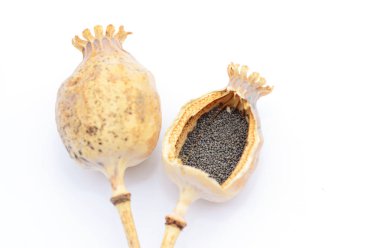 Taze kuru uzun kök haşhaş bakla kurutulmuş Gelincik (haşhaş başları) haşhaş tohumu üzerine beyaz izole yığını ile