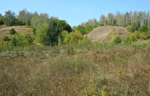 Grasveld met twee heuvels en bos — Stockfoto