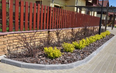 Süslü sarı berberis thunbergii aurea çalıları dar bir çiçek tarlasına dikilmiş çam kabuğu ahşap yongaları dikey slat boyunca, tuğla temeli üzerine çit.. 