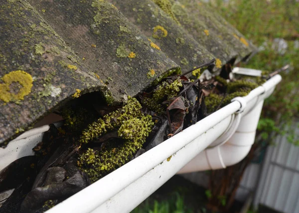 Clogged roof gutters and downspout with old leaves, dirt, moss and lichen causes roof leaks and damages the house.