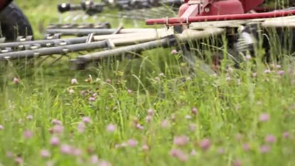 Piros mezőgazdasági gép vágás zöld gyep, lóhere mező — Stock videók