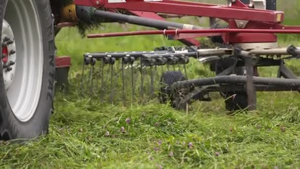Mähdrescher-Traktor sammelt gemähtes Gras auf Feld ein — Stockvideo