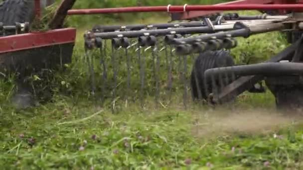 Combine harvester tractor carriage collecting cutted grass on field — Stock Video