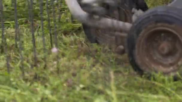 Mähdrescher-Maschinenwagen packt gemähtes Gras auf Feld — Stockvideo