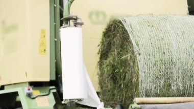 Çim sahada Hasat Traktör geliyor yığını Paketli