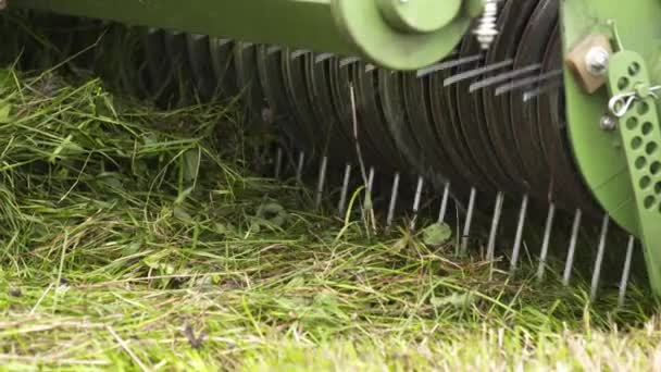 Metal spikes of combine harvester machine gather cutted grass in field — Stock Video