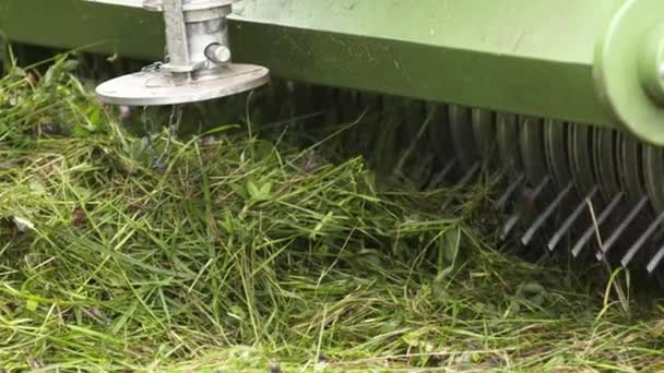 Metal spikes of combine harvester machine picks up cutted grass in field — Stock Video